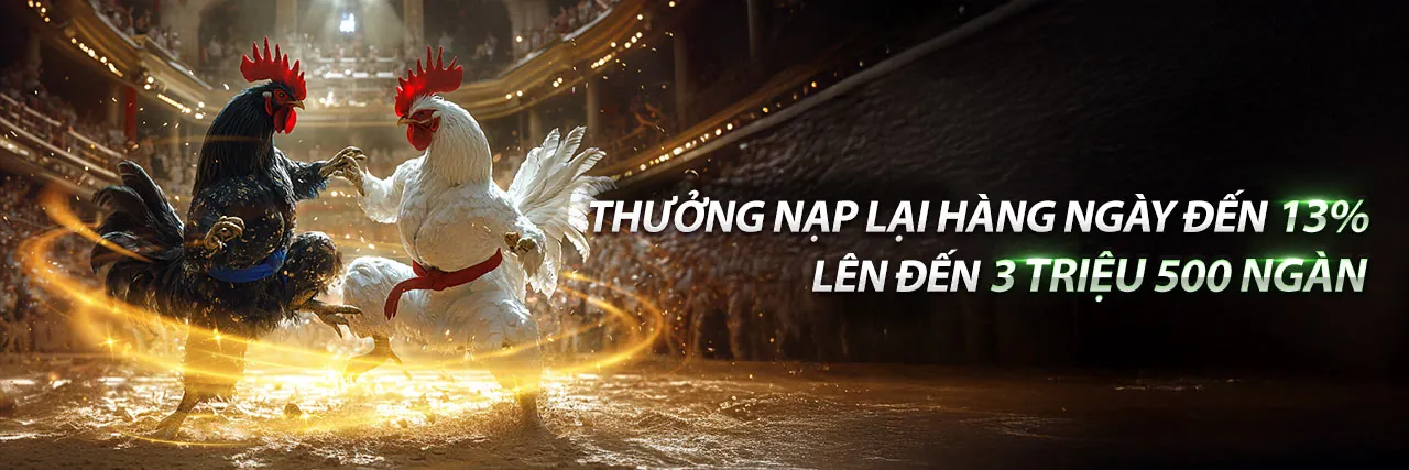 Hình ảnh giới thiệu về 24wim link mới